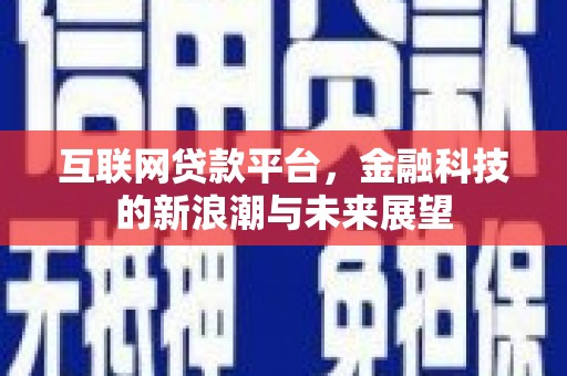 盐田互联网贷款平台，金融科技的新浪潮与未来展望