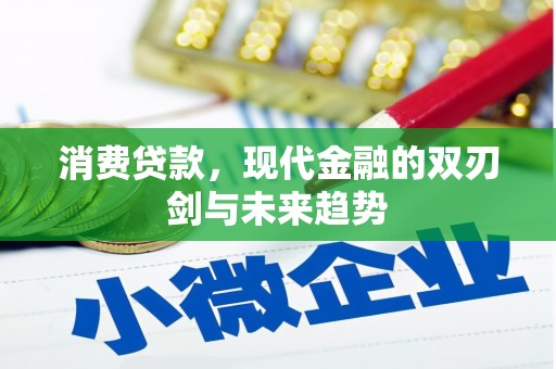 盐田消费贷款，现代金融的双刃剑与未来趋势
