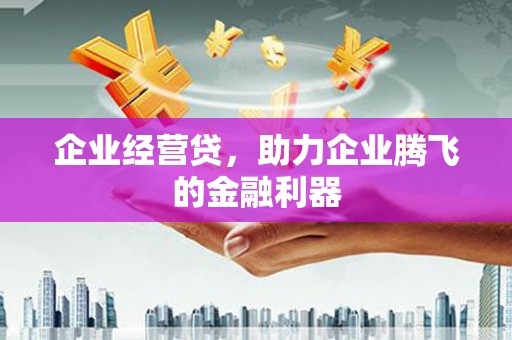 盐田企业经营贷，助力企业腾飞的金融利器