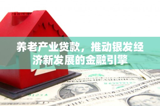 盐田养老产业贷款，推动银发经济新发展的金融引擎