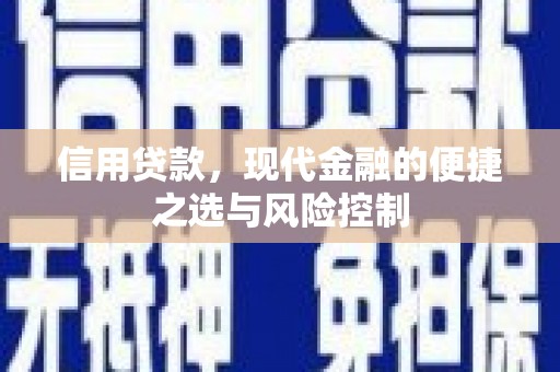 盐田信用贷款，现代金融的便捷之选与风险控制