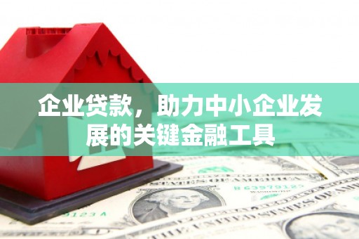 盐田企业贷款，助力中小企业发展的关键金融工具