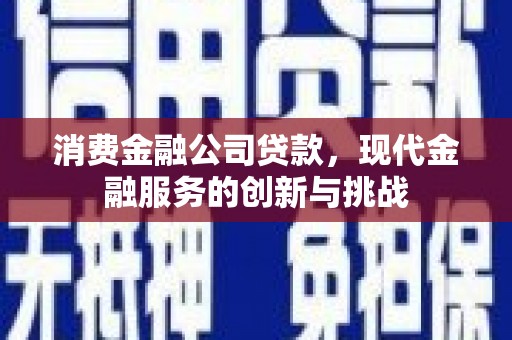 盐田消费金融公司贷款，现代金融服务的创新与挑战