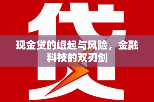 盐田现金贷的崛起与风险，金融科技的双刃剑