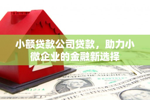 盐田小额贷款公司贷款，助力小微企业的金融新选择