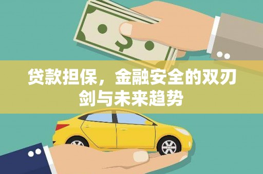 盐田贷款担保，金融安全的双刃剑与未来趋势