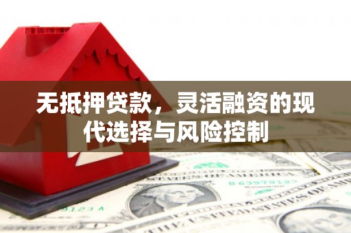 盐田无抵押贷款，灵活融资的现代选择与风险控制
