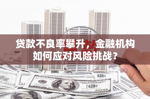 盐田贷款不良率攀升，金融机构如何应对风险挑战？