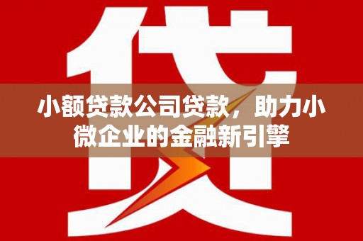 盐田小额贷款公司贷款，助力小微企业的金融新引擎