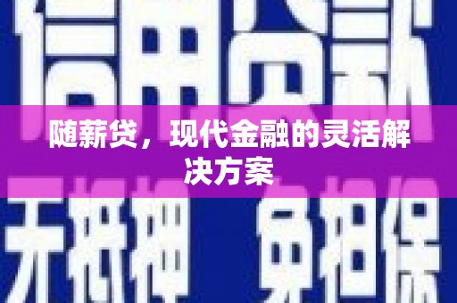 盐田随薪贷，现代金融的灵活解决方案