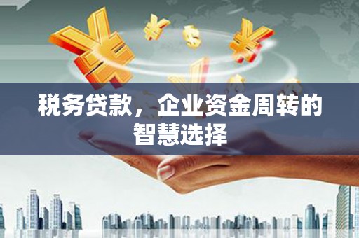 盐田税务贷款，企业资金周转的智慧选择