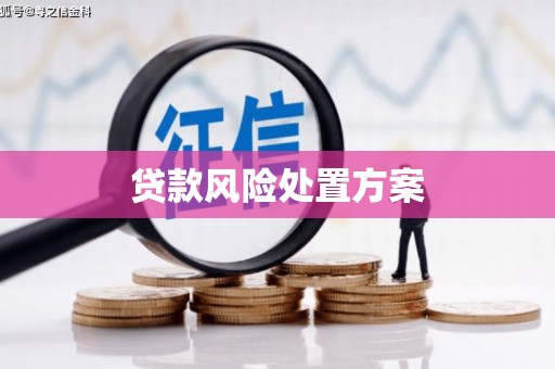 盐田贷款风险处置方案