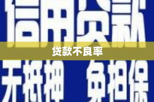 盐田贷款不良率