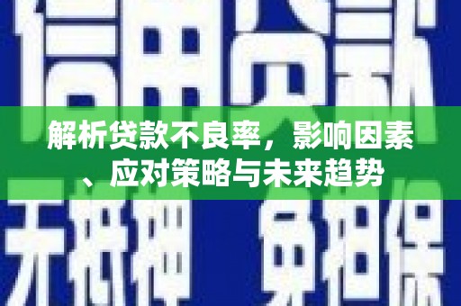 盐田解析贷款不良率，影响因素、应对策略与未来趋势