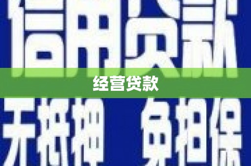 盐田经营贷款