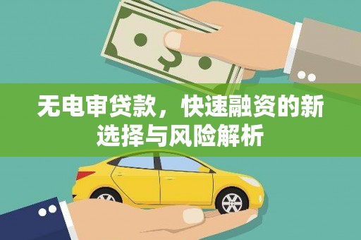 盐田无电审贷款，快速融资的新选择与风险解析
