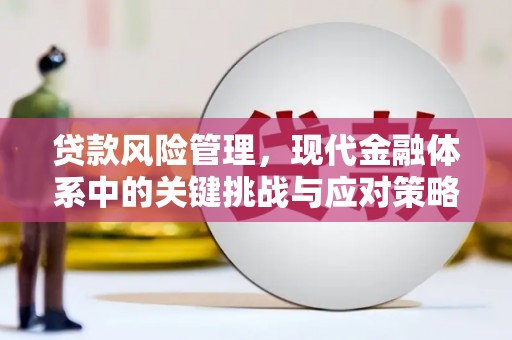 盐田贷款风险管理，现代金融体系中的关键挑战与应对策略