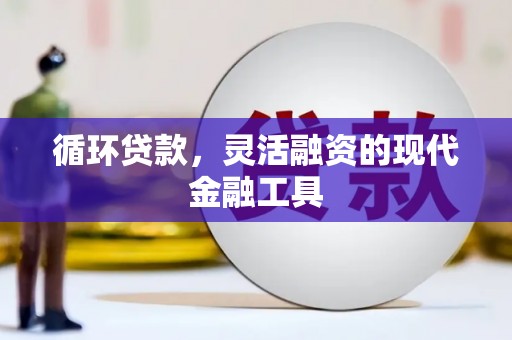 盐田循环贷款，灵活融资的现代金融工具