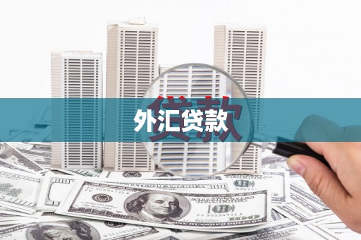 盐田外汇贷款