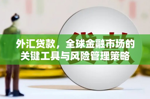 盐田外汇贷款，全球金融市场的关键工具与风险管理策略
