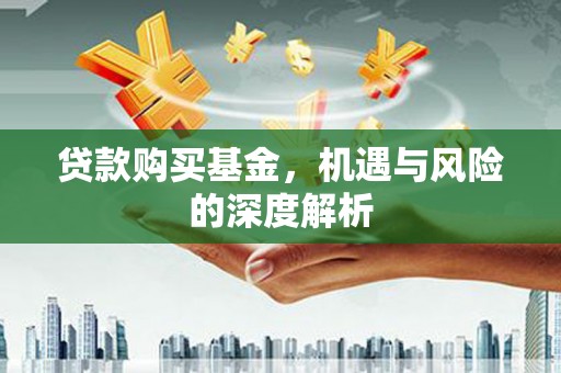 盐田贷款购买基金，机遇与风险的深度解析