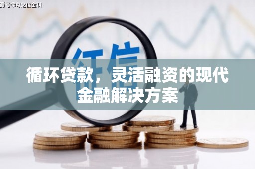 盐田循环贷款，灵活融资的现代金融解决方案