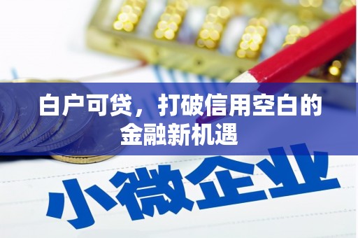 盐田白户可贷，打破信用空白的金融新机遇