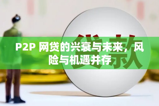 盐田P2P 网贷的兴衰与未来，风险与机遇并存