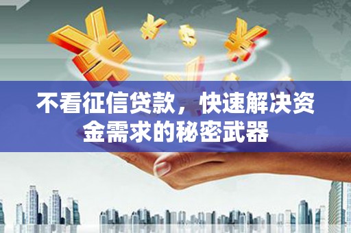 盐田不看征信贷款，快速解决资金需求的秘密武器