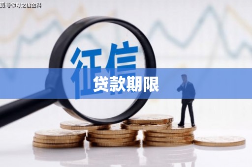 盐田贷款期限