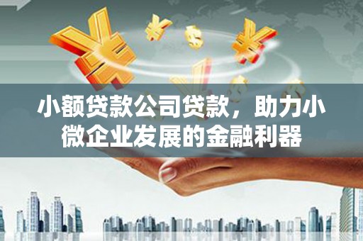 盐田小额贷款公司贷款，助力小微企业发展的金融利器