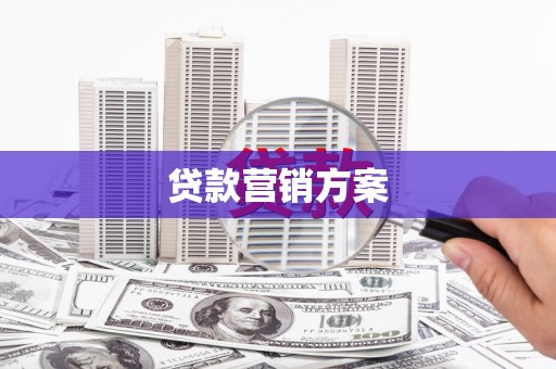 盐田贷款营销方案