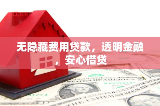 盐田无隐藏费用贷款，透明金融，安心借贷