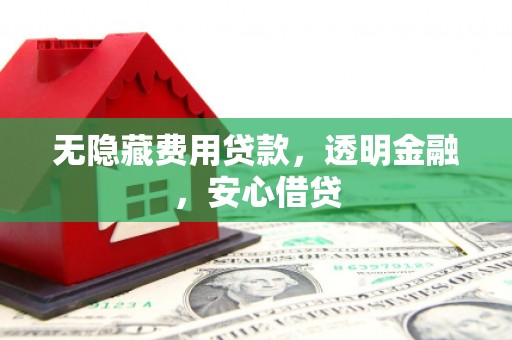 盐田无隐藏费用贷款，透明金融，安心借贷