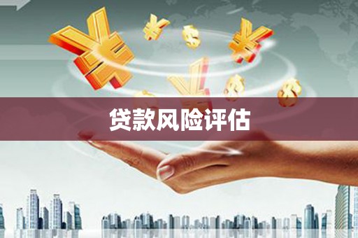 盐田贷款风险评估