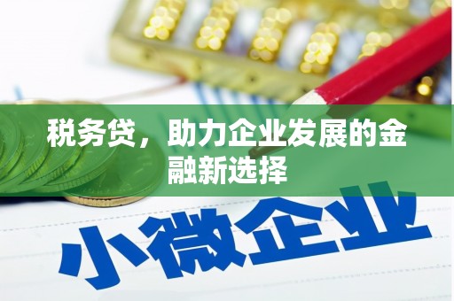 盐田税务贷，助力企业发展的金融新选择