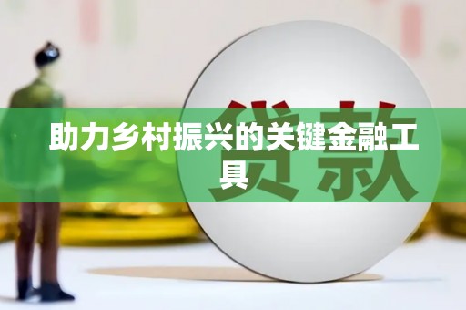 盐田助力乡村振兴的关键金融工具