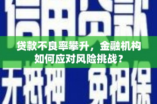 盐田贷款不良率攀升，金融机构如何应对风险挑战？