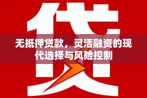 盐田无抵押贷款，灵活融资的现代选择与风险控制