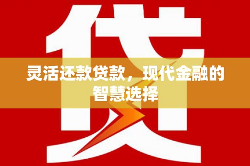 盐田灵活还款贷款，现代金融的智慧选择