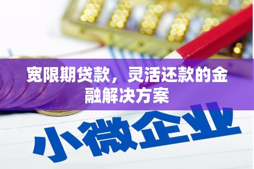 盐田宽限期贷款，灵活还款的金融解决方案