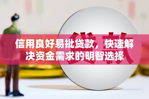 盐田信用良好易批贷款，快速解决资金需求的明智选择