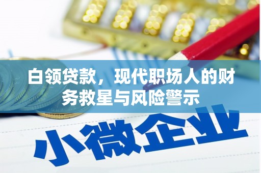盐田白领贷款，现代职场人的财务救星与风险警示