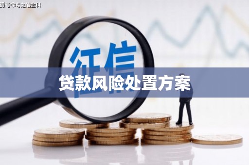 盐田贷款风险处置方案