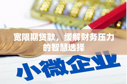 盐田宽限期贷款，缓解财务压力的智慧选择
