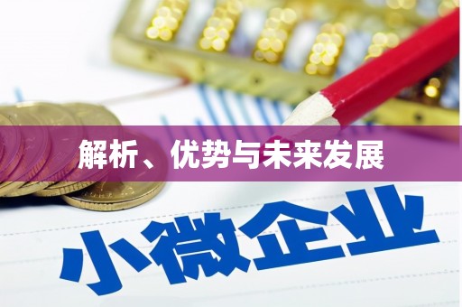 盐田解析、优势与未来发展