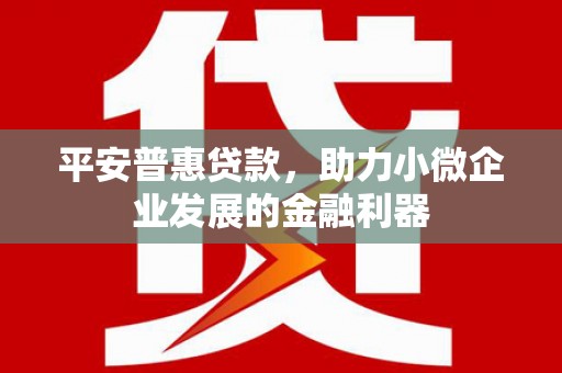盐田平安普惠贷款，助力小微企业发展的金融利器