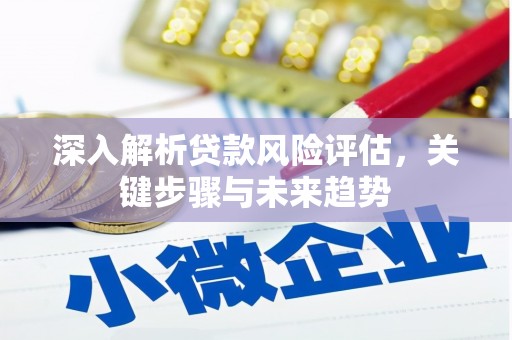 盐田深入解析贷款风险评估，关键步骤与未来趋势