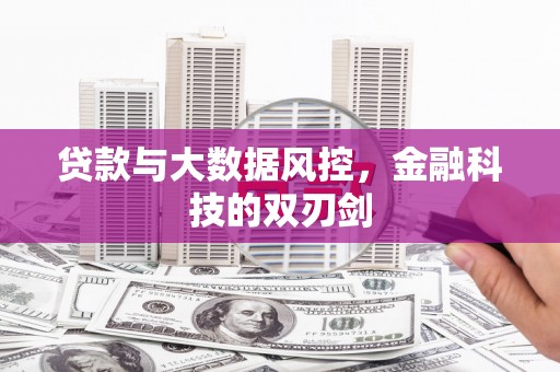 盐田贷款与大数据风控，金融科技的双刃剑