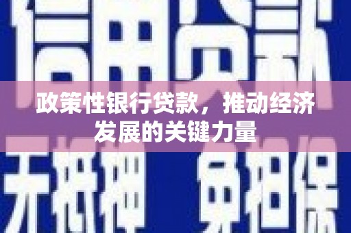 盐田政策性银行贷款，推动经济发展的关键力量